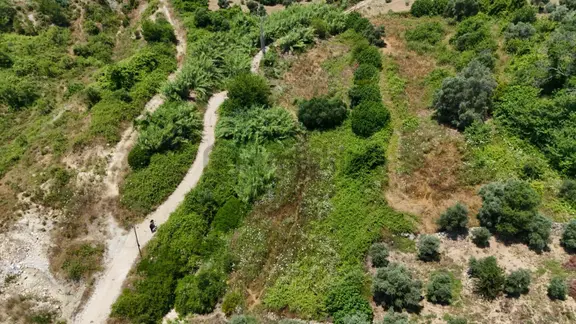 Milas Ören Alatepe'de Resmi Yola 20 M Elektrik Dibinde 998 M² Satılık Tarla 2