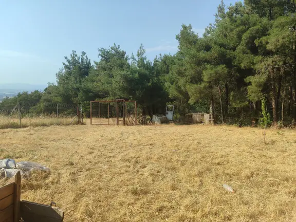 Nilüfer Demircide Manzaralı Harika Konumda Bina Ve Bahçesi 2