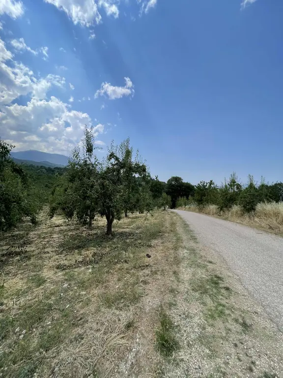 Nezir Gm'den Edebey Mahallesinde Satılık Armut Bahçesi 1