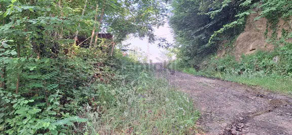 Şahinoǧlu Emlaktan Akçaabat Uğurlu'da 4.000 M2. Çok Uygun Fındıklık 2