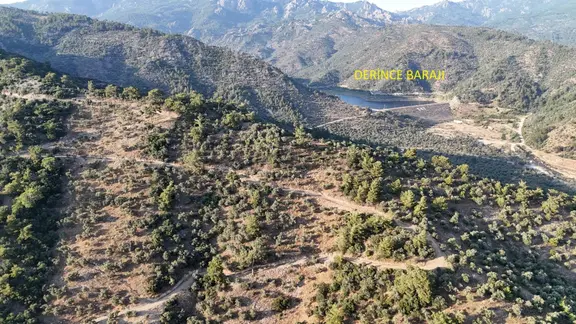 Doğadan Milas Derince Baraja Yakın Yolu Olan Zeytinlik 2