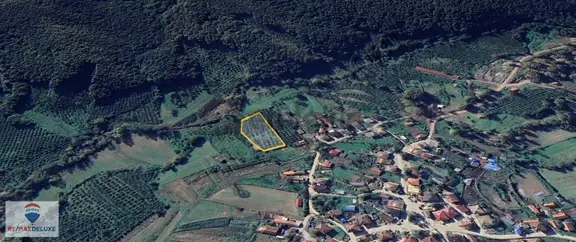 Kandıra Teksen'de 2.939 M2 Satılık Fındık Bahçesi 2
