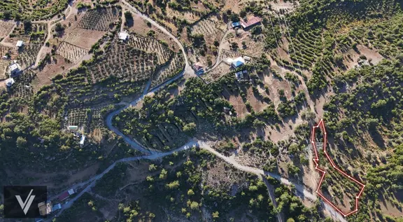 Alanya Saburlar'da 2803 M² Sayardı Mevkii Yatırım 1