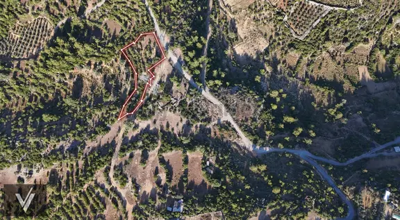 Alanya Saburlar'da 2803 M² Sayardı Mevkii Yatırım 2