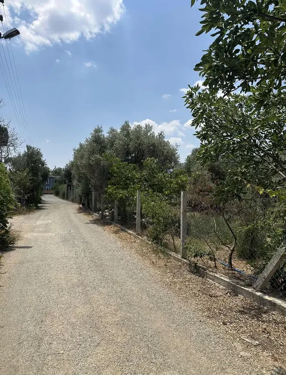 Coşar Emlak Güvencesiyle Ataköy'de Doğa İçinde 991m² 2