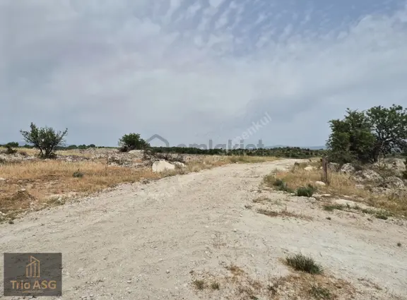 Dikili Çandarlı'da İmara Sınır 600m² Satılık Kooperatif Hissesi 2