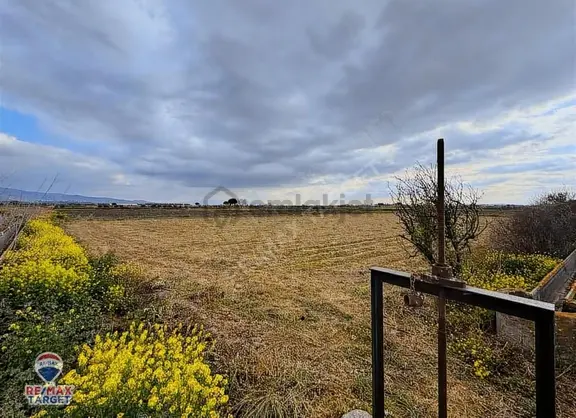 Menemen Çavuşköy 6.600 M2 Yola Ve Depolama Alanına Yakın Tarla 2