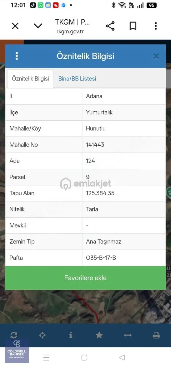 Yatırım Fırsatı Tarla Yumurtalık/hunutlu 'da Enerji Bölgesinde 2