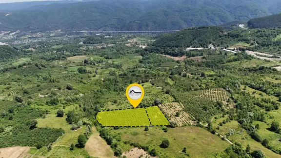 Ruşen Aydın Gyd'dan Kaynaşlı Dipsizgöl'de Satılık Fındık Tarlası 2