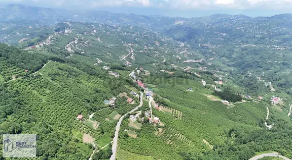 Ağıllı Mahallesi Trabzon Doğa Deniz Manzaralı Yatırımlık Arsa 1