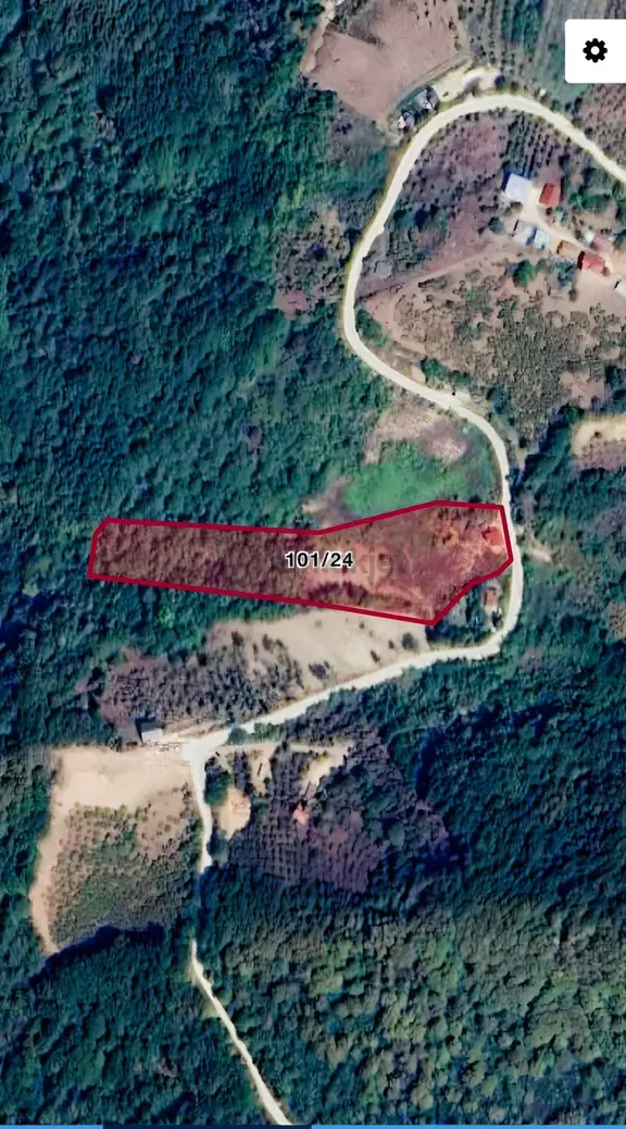Daimi Taşkın Gayrimenkul'den Satılık Verimli Tarla 2