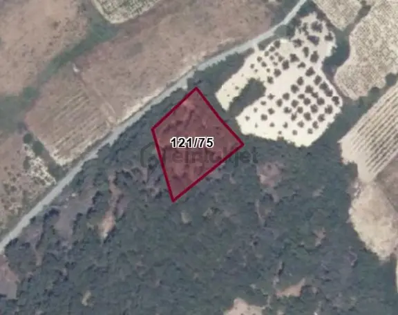 Bozcaada Cumhuriyet - Tek Tapu - Denize 850m Ağaçlar İçerisinde 1