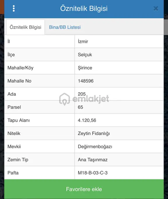 Şirince'de Satılık 4120 M2 Zeytinlik 1