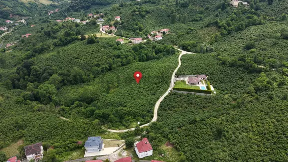 Beyli Köyünde Satılık Fındık Bahçesi 1