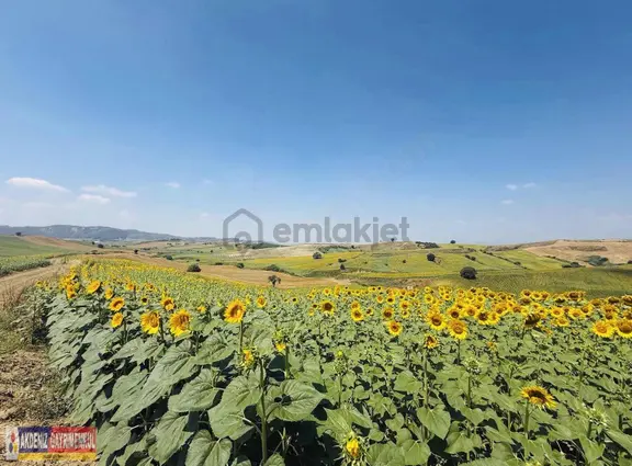 Cazip Kelepir Arsa 5800m2 1