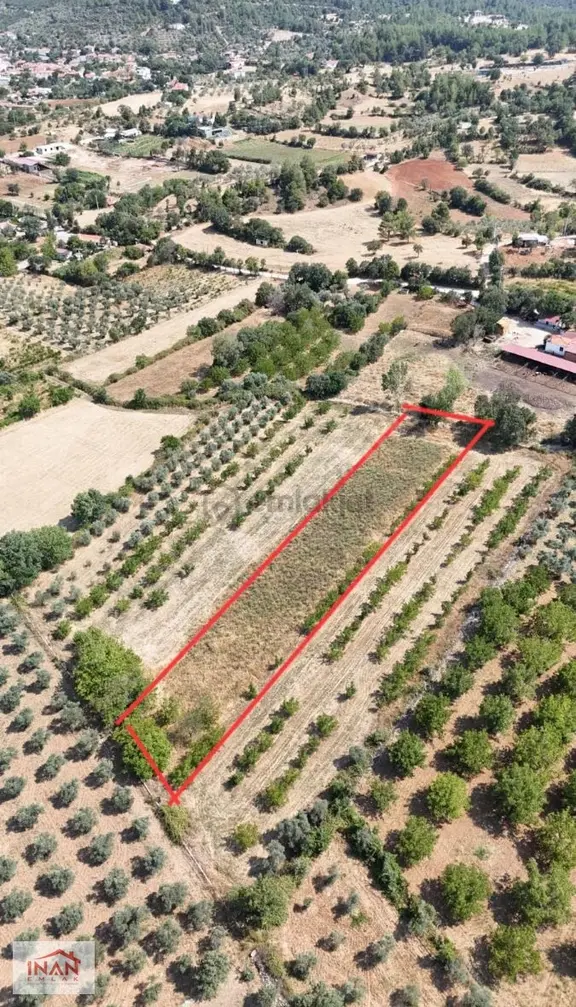 Yerkesikte Yerleşim Yakın 2400 M2 Kuyulu Elektrikli Tarla 1