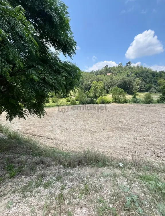 Andırın Yolu Kenarı Satılık Arsa - 1759 M² 1