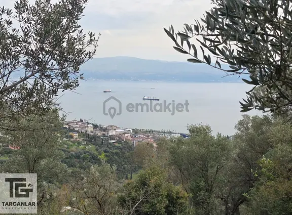Tarcanlardan Körfez'de 1/1000 İmarlı 2.390 M² Satılık Arsa 1