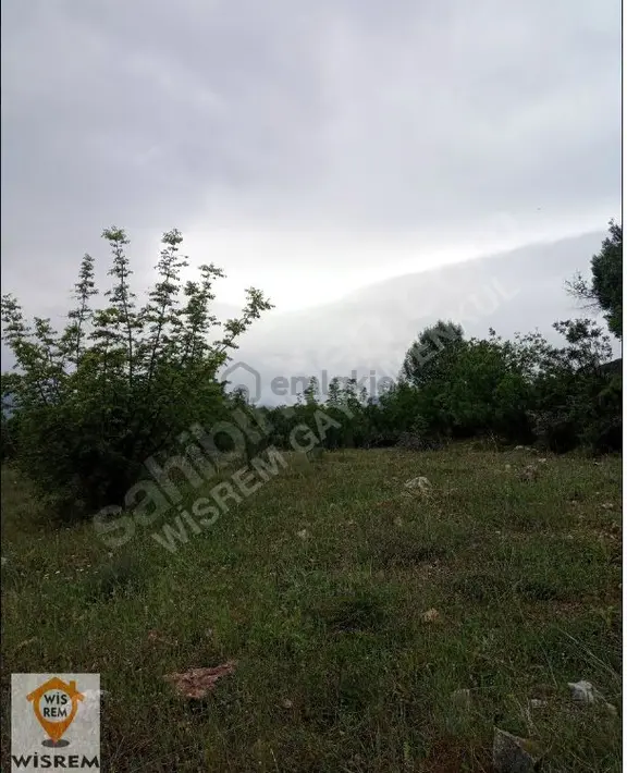 Söğüt'te 7468 M2 Satılık Fırsat Tarla 2