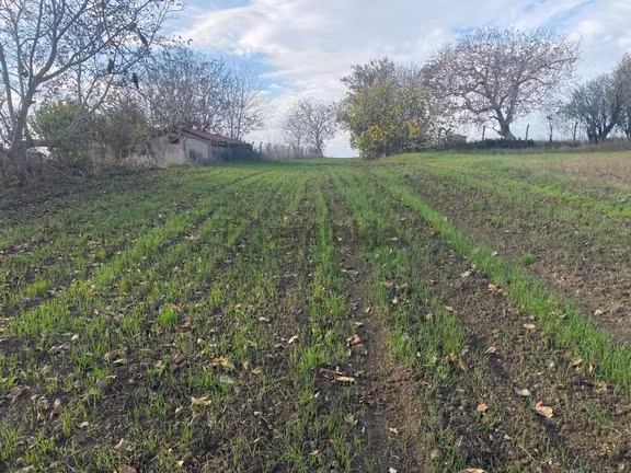 ^koyuncu Gyrm^silivri Seymen'de Satılık Tek Tapu 1256m2 Bağ Yeri 2