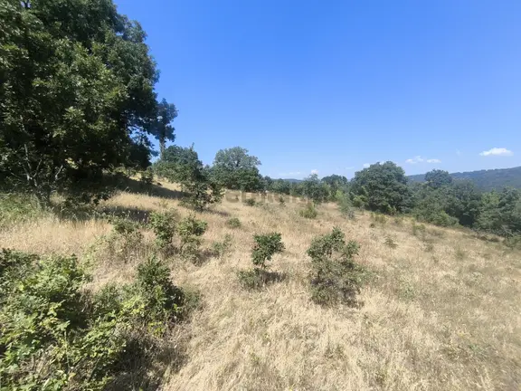 Balya Kaya Emlak.balya Ören'de Satılık 9.300 M2 Tarla 2