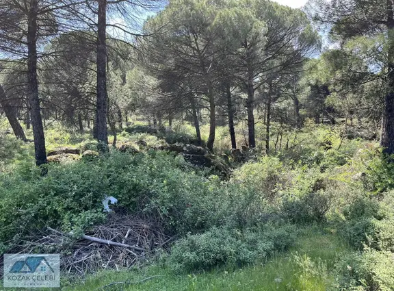 Kozak Çelebi Emlak'tan Kelepir Arazi 2