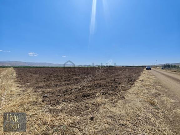 Etminik'te Ana Yola Yakın, Müstakil Tapulu 10.648 M² Tarla 2
