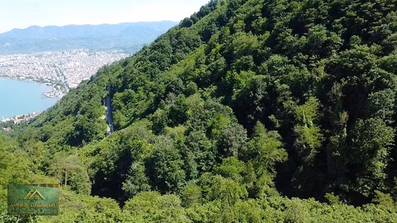 Anadolu'dan Kirazlimanı'nda Satıllık 1210 M² Fındık Bahçesi 2