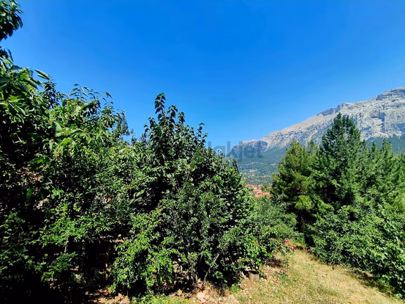 Kar Emlak | Akçatekir Ayvabeyin'de 443 M2 Arsa 2