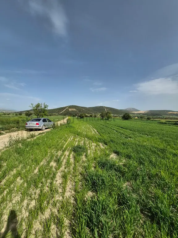 Isparta Gönen Satılık 19 Dönüm Yatırımlık Arazi 🌿 1