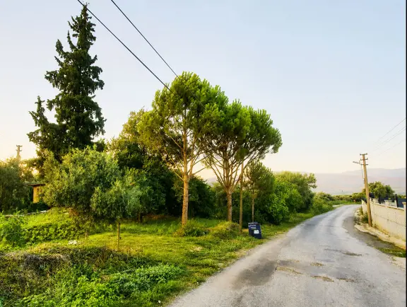 Bozdoğan Ziyaretli'de Asfalt Üzeri, 2 Katlı Taş Evli, Bahçe.. 1
