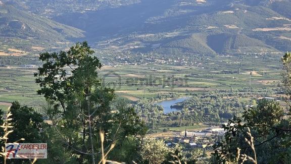 Sakarya P.ova Bayırakçaşehir Mah. Emsalsiz Manzaralı Zeytin Bah. 2