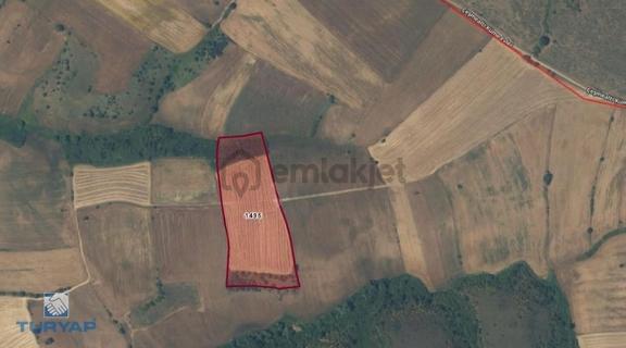 Çanakkale Biga Gümüşçay Beldesi 21.150 M2 Satılık Tarla 1
