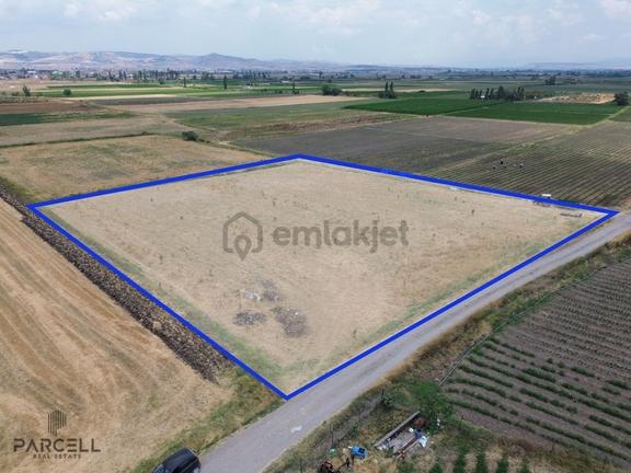 Halalca Mahallesi Kadastral Yola Cepheli 5770m² Yatırımlık Tarla 2