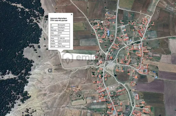 Recep Ümit Emlak'tan Seyitgazi Şükranlı'da Hisseli Tapulu 7286 M2. Satılık Tarla 1