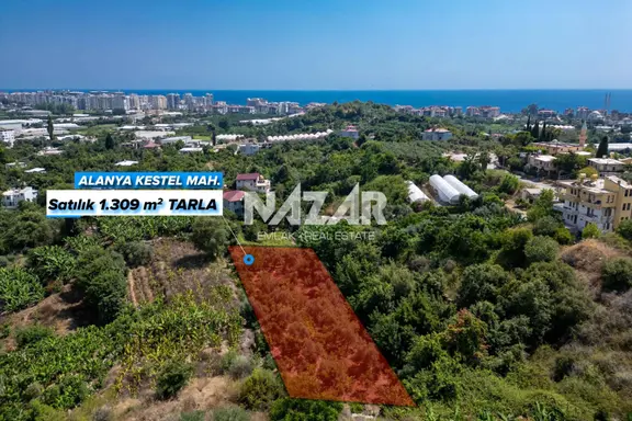 Alanya Kestel’de 1.309 M² Satılık Tarla / Bahçe 2