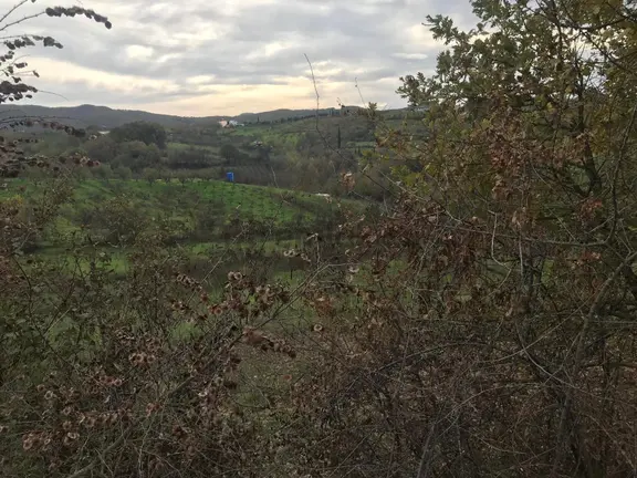 Kocaeli Karamürsel Akçat Köyü Resmi Yola Cepheli Satılık Tarla 2