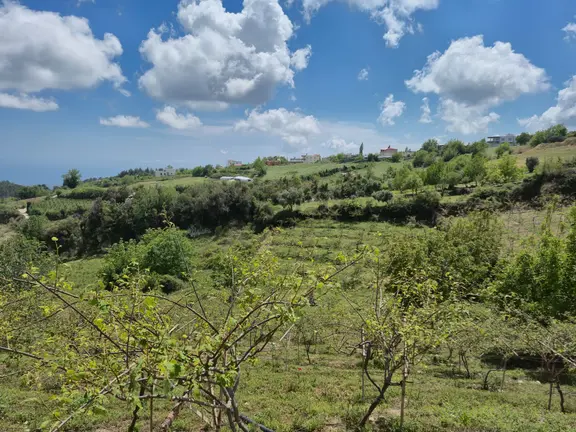 Aslan'dan Sıraçta Emsalsz Fiyata,6adet Villa İmarlı,3.250m2 Arsa 1