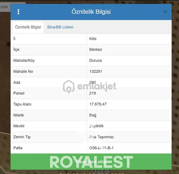 Royalest'ten Duruca 'da Yola Cepheli Zeytinlik Yatırımlık Fırsat 1