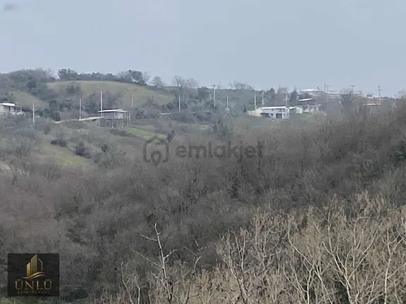 Yaman Köy'de Fırsat 8 Dönüm Zeytinlik Yerleşime Yakın 1