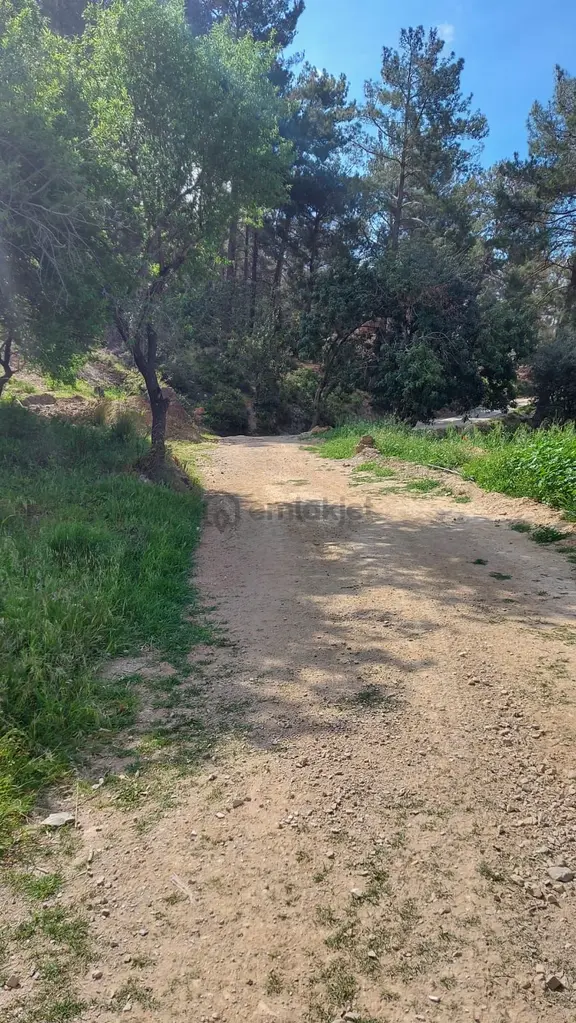 Anamur Demirören Köyü'nde Ana Yol Altında Muhteşem Deniz (körfez) Manzaralı Müstakil Satılık Tarla 2