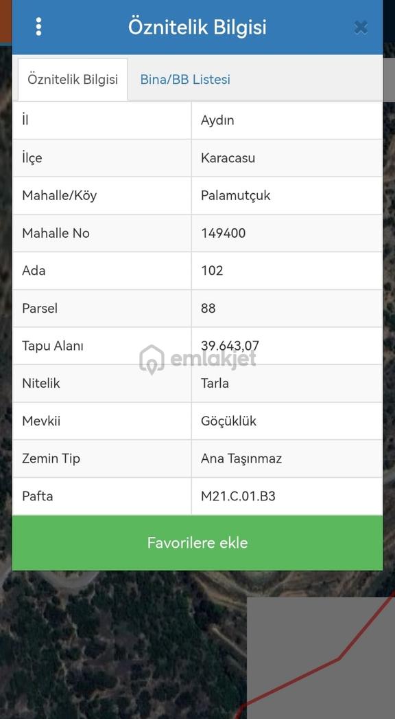 Aydın Karacasuda Satılık 40000m2 Zeytinlik