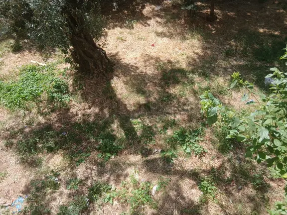 Armutlu Belediye Yanı Pazar Karşısı Merkezi Yerde 2