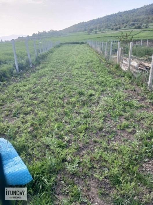 İtuncay Dan Boyalı Mh Satılık Bahçe 1
