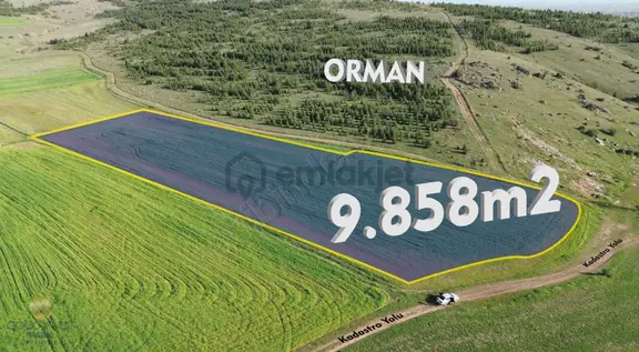 Orman Yanı, Kadastro Yolu Olan Verimli Yatırımlık 9.858m² Tarla 1