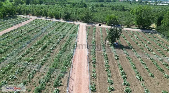 Winova| İnegöl Hocaköy'de Gelişime Açık Yatırımlık Tarla 2