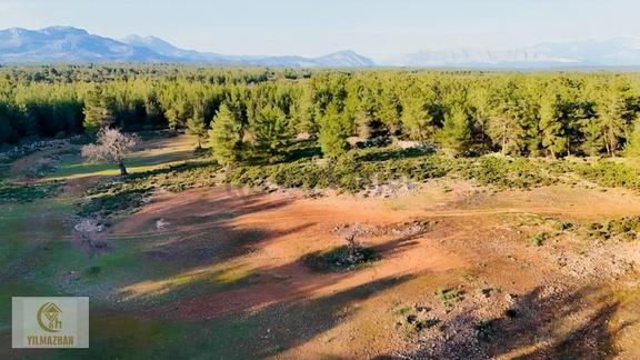 Bu Fiyata Tapulu Tarla Kalmadı İlk Gelen Alır 1.200m2 1