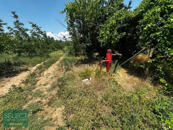 Muğla Ula'da Satılık Tarla 2