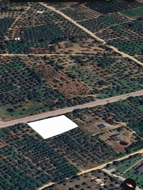 Tarcanlar'dan Satılık Orhangazi'de Yola Sıfır Zeytinlik Bahçe 2