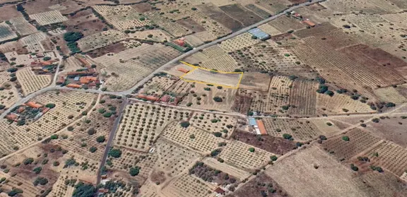 Denizli Çal Ortaköy Mahalledi Satılık Bağ Bd Arsa 2